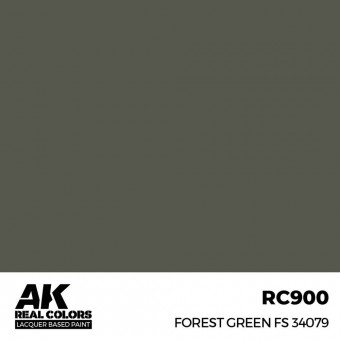 AK Interactive RC900 Forest Green FS 34079 17 ml.