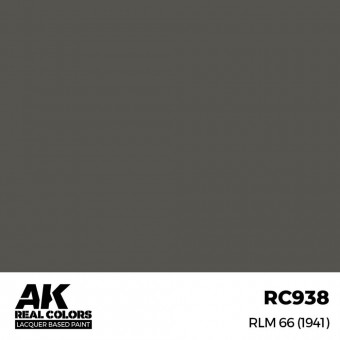 AK Interactive RC938 RLM 66 (1941) 17 ml.