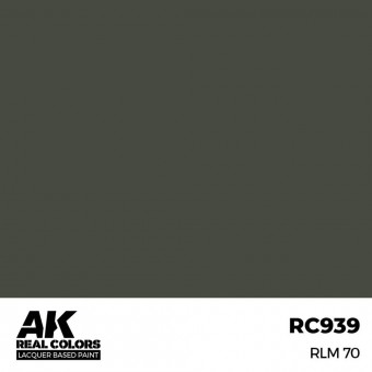 AK Interactive RC939 RLM 70 17 ml.