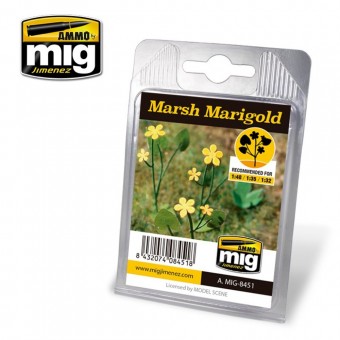 AMMO A.MIG-8451 Marsh Marigold