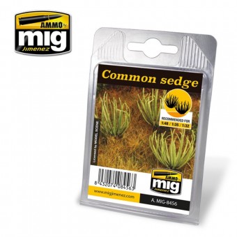 AMMO A.MIG-8456 Common Sedge