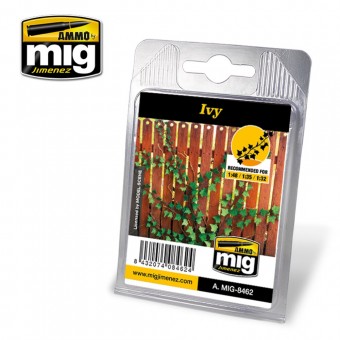 AMMO A.MIG-8462 Ivy
