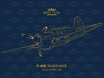 Eduard R0024 P-40K Warhawk DUAL COMBO 1:48