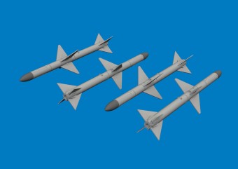 Eduard 6481175 AIM-7M PRINT 1:48