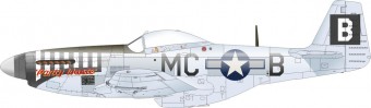 Eduard D72053 P-51D-5 8th AF EDUARD 1:72