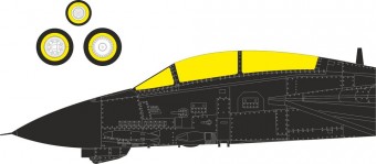Eduard CX708 F-14D for Tamiya 1:72