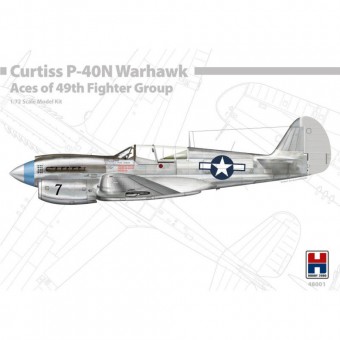 Hobby 2000 48001 P-40N Warhawk Aces of The 49th Fighter Group 1:48