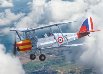 ICM 32019 DH.82A Tiger Moth of the World Air Forces 1:32