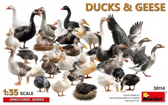 MiniArt 38114 Ducks & Geese 1:35