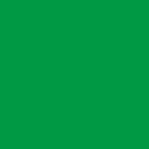 Mr. Hobby C-066 Mr. Color (10 ml) - Bright Green