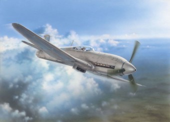 Special Hobby 100-SH32045 Heinkel He 100D Soviet and Japanese Plan 1:32
