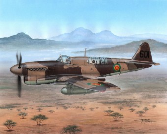 Special Hobby 100-SH48151 Fairey Firefly FR Mk.I Foregin Post War 1:48