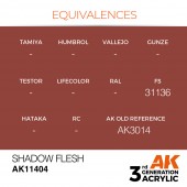 AK Interactive AK11404 Shadow Flesh