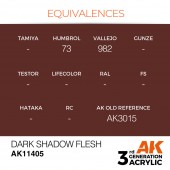 AK Interactive AK11405 Dark Shadow Flesh