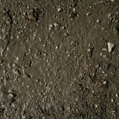 AK Interactive AK8016 TERRAINS WET GROUND - 250ml (Acrylic)