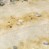 AK Interactive AK8020 TERRAINS DESERT SAND - 250ml (Acrylic)