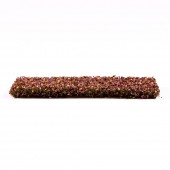 AK Interactive AK8141 Beech Foliage Autumn
