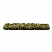 AK Interactive AK8145 Beech Foliage Summer