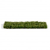 AK Interactive AK8146 Platane Foliage Summer