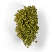 AK Interactive AK8236 SPRING FILIGREE BUSHES