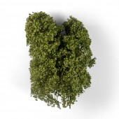 AK Interactive AK8237 SUMMER FILIGREE BUSHES