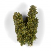 AK Interactive AK8238 EARLY FALL FILIGREE BUSHES