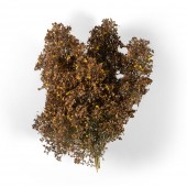 AK Interactive AK8239 LATE FALL FILIGREE BUSHES