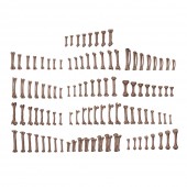 AK Interactive AKBIT0013 HUMAN BONES pcs.BASING BITS 120 pcs.