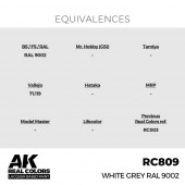 AK Interactive RC809 White Grey RAL 9002 17 ml.