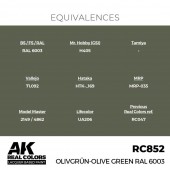 AK Interactive RC852 Olivgrun-Olive Green RAL 6003 17 ml.