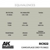 AK Interactive RC922 Camouflage Grey FS 36622 17 ml.
