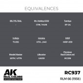 AK Interactive RC937 RLM 66 (1938) 17 ml.