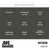 AK Interactive RC939 RLM 70 17 ml.