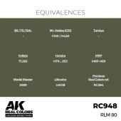 AK Interactive RC948 RLM 80 17 ml.