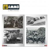 AMMO A.MIG-6273 Tigers - Modelling the Ryefield Family (English)