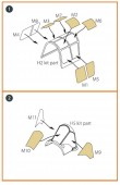 Clear Prop CPA48004 Hawk H-75 N/O for CP kit painting mask for CP kits CP4803/CP4804 1:48
