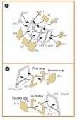 Clear Prop CPA72157 Ka-29 Helix-B painting mask for Hobby Boss kits 1:72