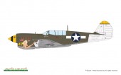 Eduard 84210 P-40N Warhawk 1:48