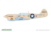 Eduard 84210 P-40N Warhawk 1:48