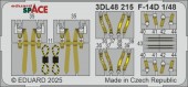 Eduard 3DL48215 F-14D SPACE GREAT WALL HOBBY 1:48