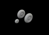 Eduard 6481163 Beaufighter Mk.VI wheels for Revell 1:48