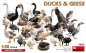 MiniArt 38114 Ducks & Geese 1:35