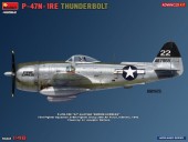 MiniArt 48062 P-47N-1RE Thunderbolt. Advanced Kit 1:48