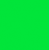Mr. Color C175 Fluorescent Green
