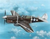 Special Hobby 100-SH72149 P-40F Warhawk Guadalcanal Hawks 1:72