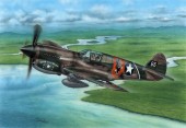 Special Hobby 100-SH72338 P-40E Warhawk Claws and Teeth 1:72