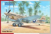 Special Hobby 100-SH72502 P-40N Warhawk 1:72